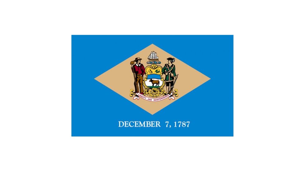 Fox Outdoor 3ft x 5ft State Flags, Delaware, 84-607