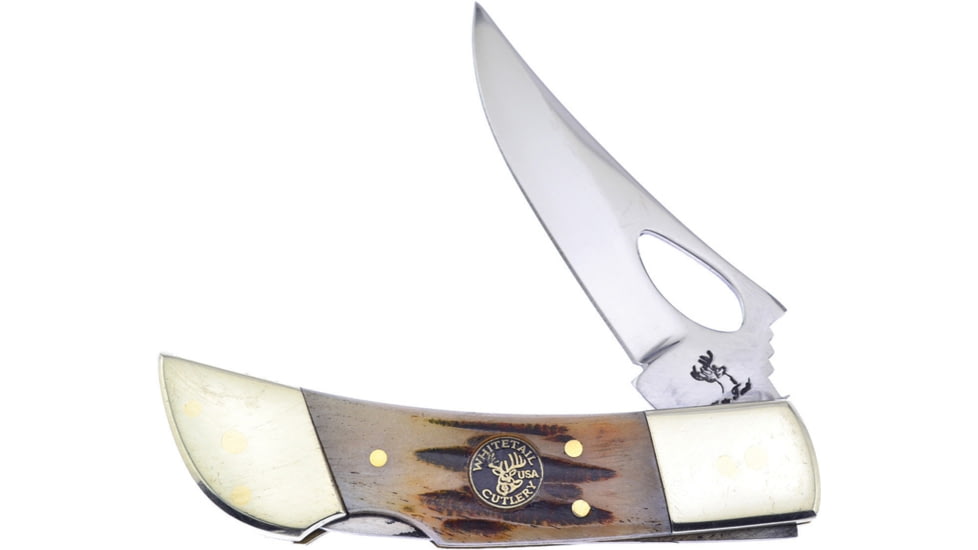 Frost Range Rider Rocky Mtn Stag Folding Knife, Mirror SS Clip Blade, Thumb Pull, Rocky Mountain Stag Bone Handle, WT-2363RMS