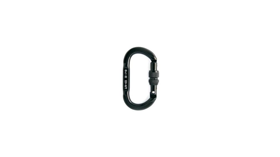 Fusion Supreme Oval Aluminum Carabiner, Silver 106760