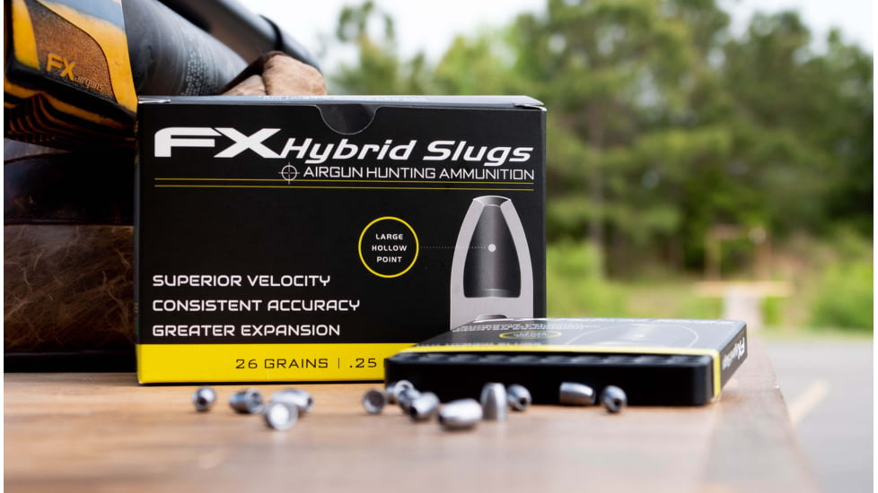 FX Hollow-Point Hybrid Slug, .25 Caliber, 26 Grain, 100 Rounds, FXHS917428
