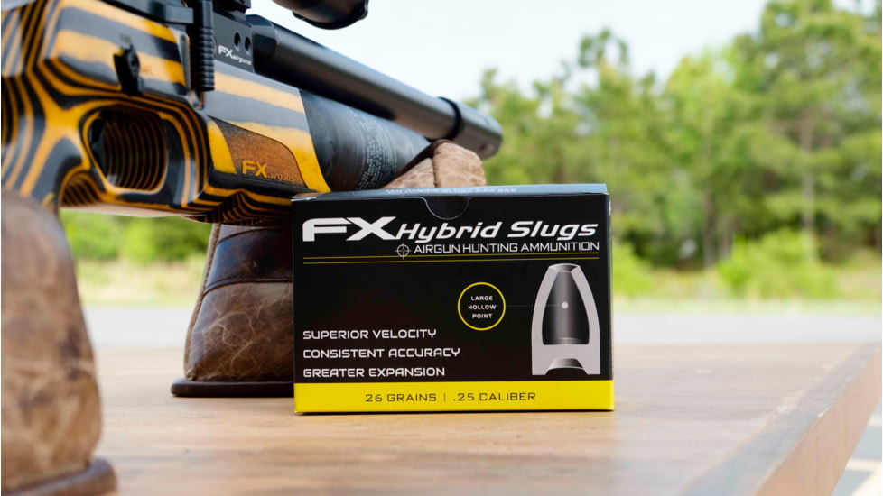 FX Hollow-Point Hybrid Slug, .25 Caliber, 26 Grain, 100 Rounds, FXHS917428