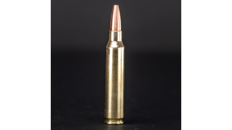 G9 Defense .223 Remington 54 Grain Barrier Blind Hollow Point Brass Cased Rifle Ammo, 20 Rounds, B-223-54A