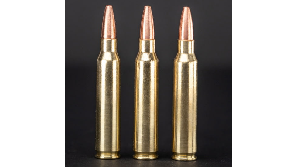 G9 Defense .223 Remington 54 Grain Barrier Blind Hollow Point Brass Cased Rifle Ammo, 20 Rounds, B-223-54A