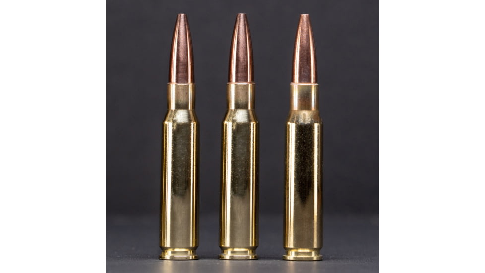 G9 Defense 308 Winchester 145 Grain Barrier Blind Hollow Point Brass Cased Rifle Ammo, 20 Rounds, B-308ALPHA-145