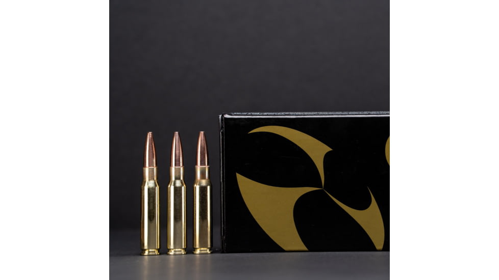 G9 Defense 308 Winchester 145 Grain Barrier Blind Hollow Point Brass Cased Rifle Ammo, 20 Rounds, B-308ALPHA-145