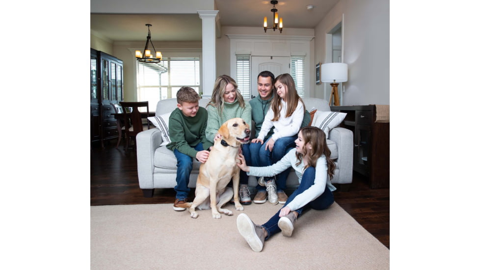 Garmin Delta SE Handheld &amp; Dog Collar Device Bundle, Black, 010-02608-00