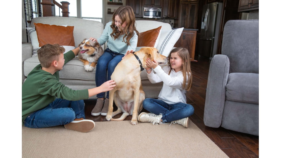 Garmin Delta SE Handheld &amp; Dog Collar Device Bundle, Black, 010-02608-00