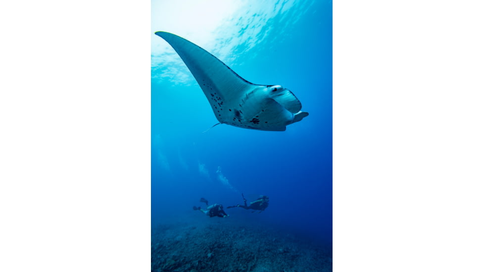 Garmin Descent Mk2i, Titanium Carbon Gray DLC with Black Band, Carbon Gray/Black, 010-02132-01