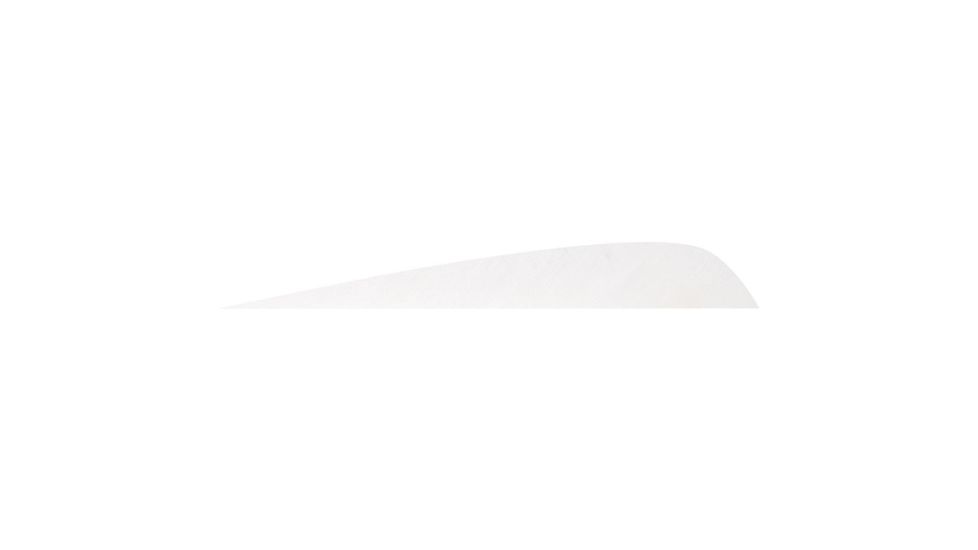 Gateway Feathers White 5 in Right Wing, White, Pack of 12, 500RPSFW-12