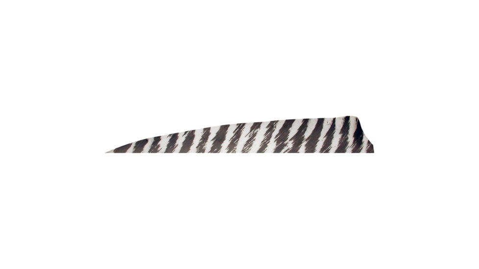 Gateway Shield Cut Feathers 1407067, White, 400RSBWH-50