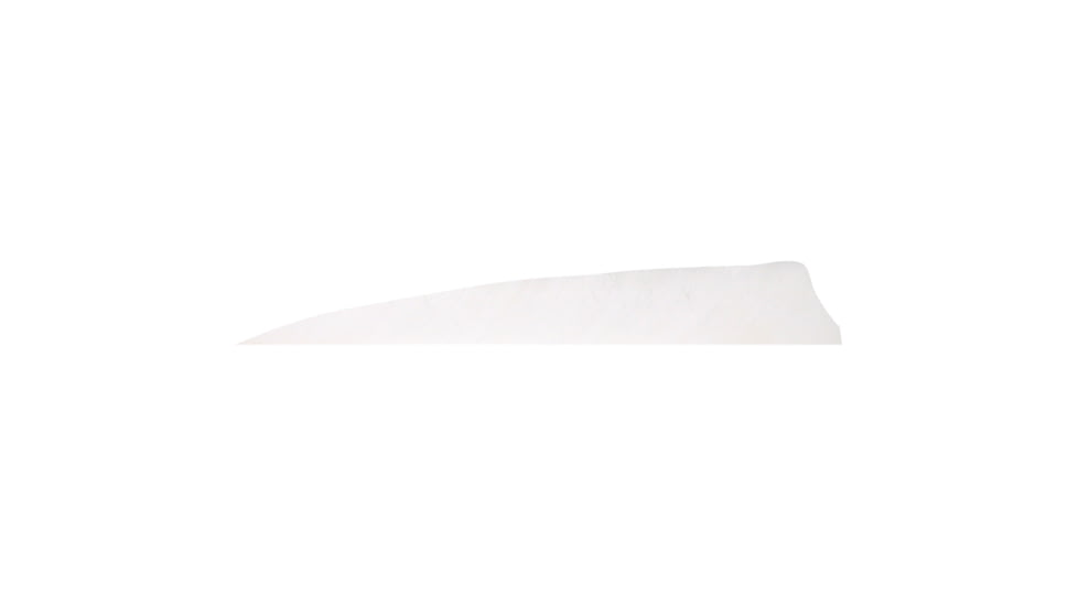 Gateway Shield Cut Feathers 1407071, White, 400RSSFW-50