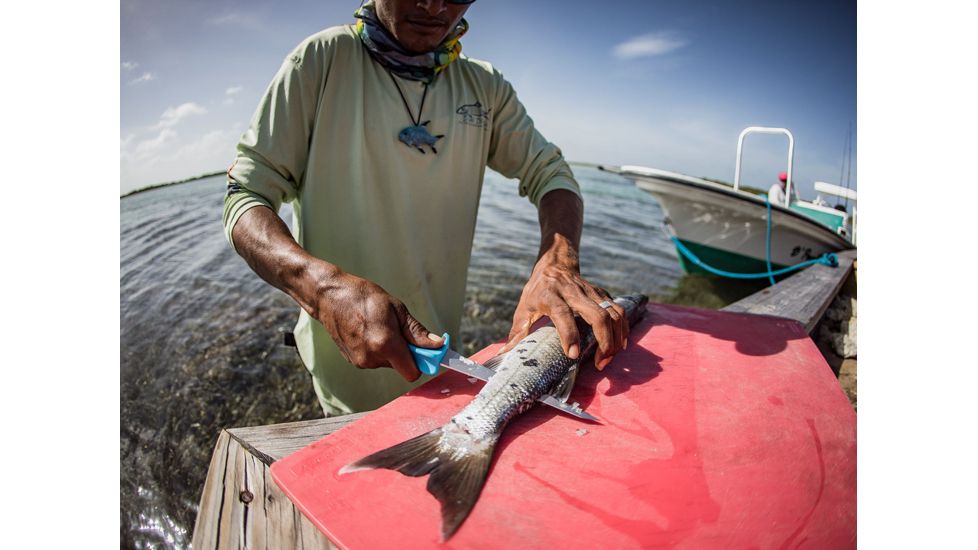 Gerber Controller Fixed Blade Fillet Knife, 6in, 9CR18MOV Steel Blade, Salt-Resistant, Cyan, 31-003557