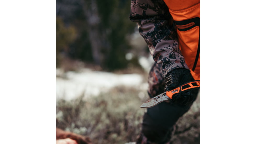 Gerber Randy Newberg EBS