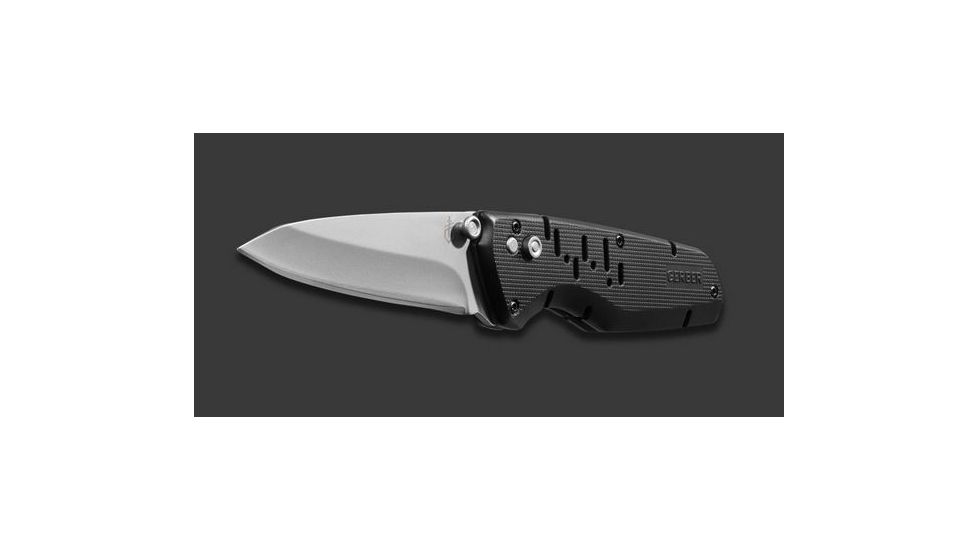 Gerber Skyridge AO, Fine Edge 30-001074