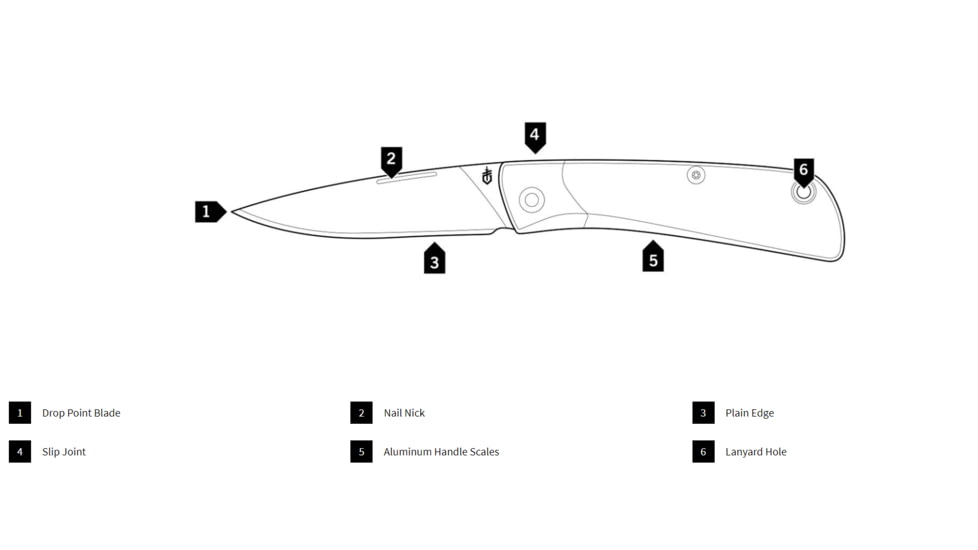 Gerber Wingtip 2.5in Assisted Opening Folding Knife, Green Handle, Green, 31-003720