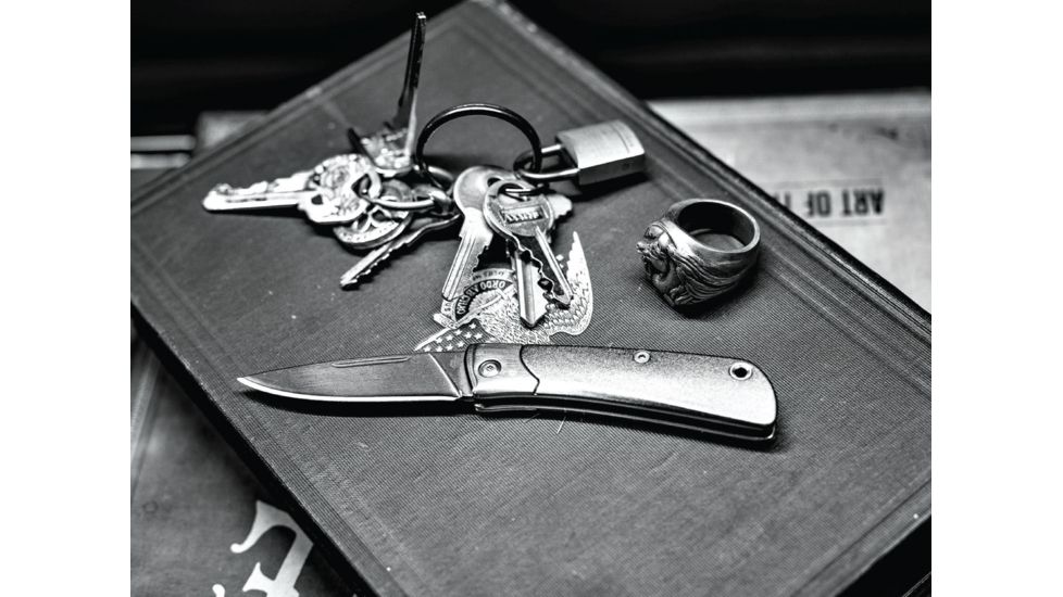 Gerber Wingtip Assisted Opening Folding Knife, 2.5in, 7CR Steel, Drop Point Blade, Grey, 30-001700