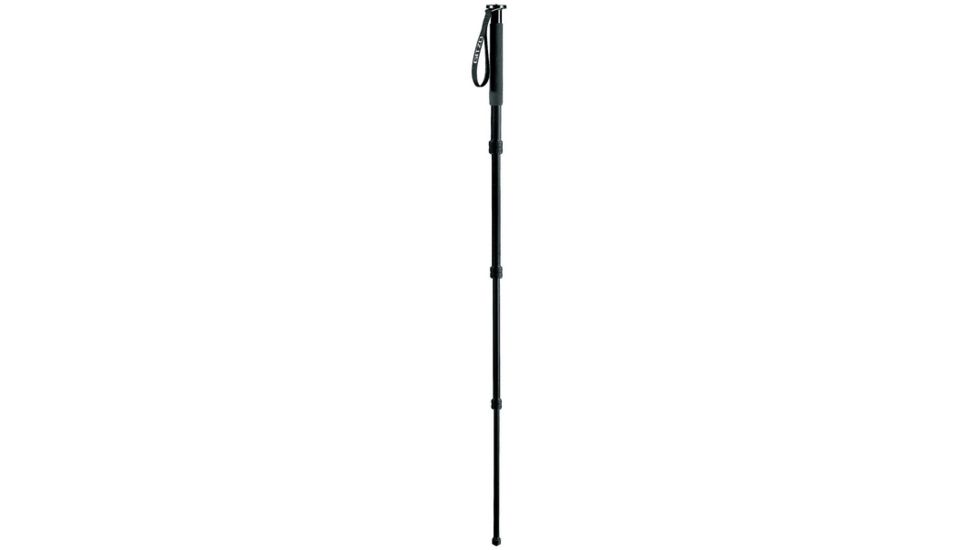 Gitzo Series 2 Basalt Monopod - 4 Section G-lock GM2941