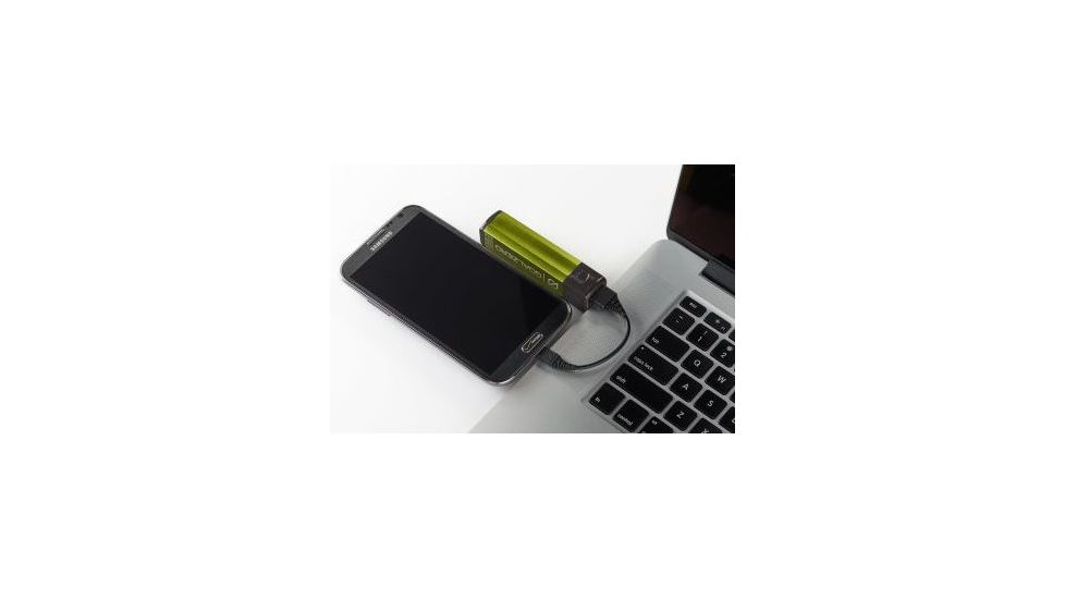 Goal Zero Flip 20 USB Recharger for Multiple Charges,Solar Ready,Green 21910