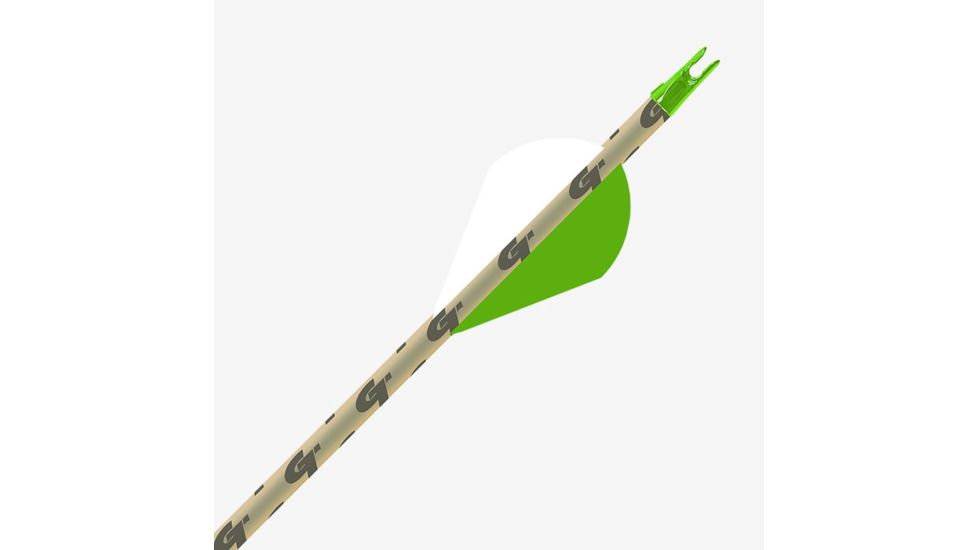 Gold Tip Hunter XT, XTRA, 300 2 inch Raptor Vanes, 36CT, CHXTXT300A236