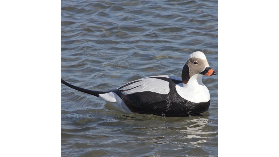 Greenhead Gear Commercial Grade Long-Tailed Ducks Foam Filled,1/2 Dozen 74027
