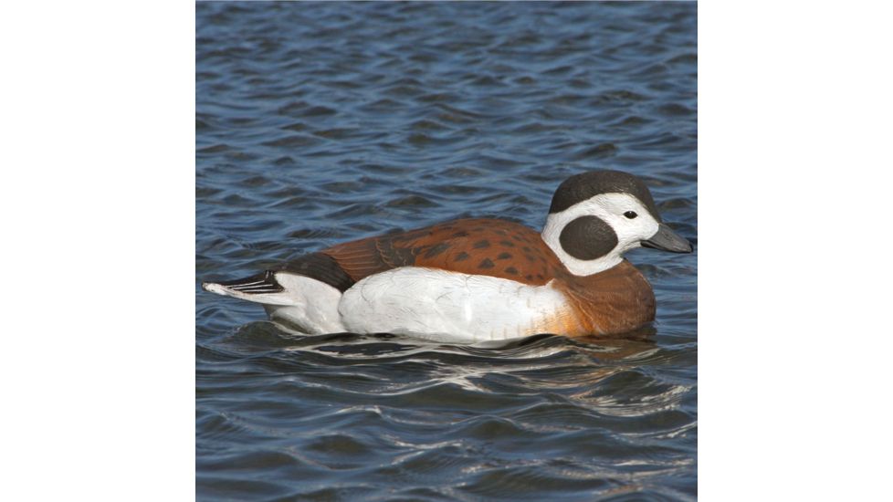 Greenhead Gear Commercial Grade Long-Tailed Ducks Foam Filled,1/2 Dozen 74027