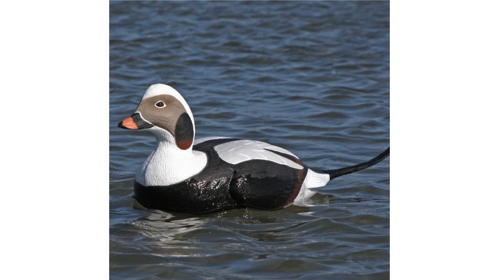 Greenhead Gear Commercial Grade Long-Tailed Ducks Foam Filled,1/2 Dozen 74027