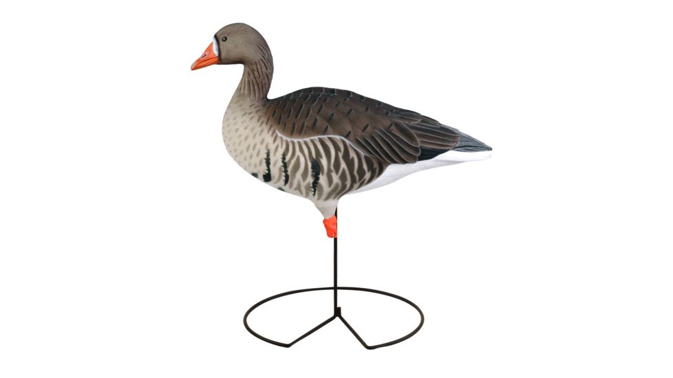 Greenhead Gear FFD Elite Full Body Specklebelly Decoy,Harvester Pack,1/2 Dozen 71813