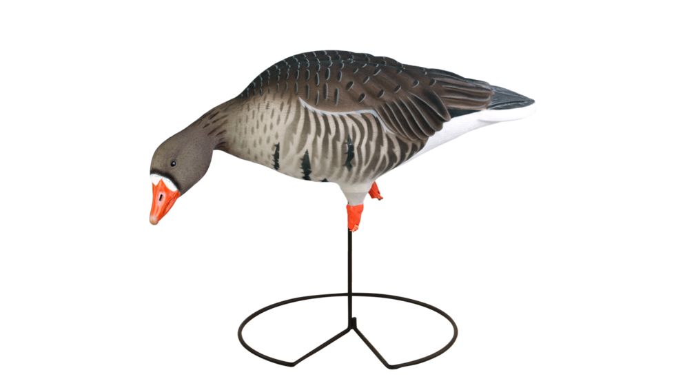 Greenhead Gear FFD Elite Full Body Specklebelly Decoy,Harvester Pack,1/2 Dozen 71813