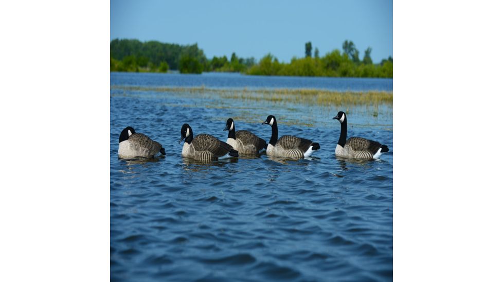 Greenhead Gear FFD Elite Honker Floaters Decoy,Harvester Pack,1/2 Dozen 71094