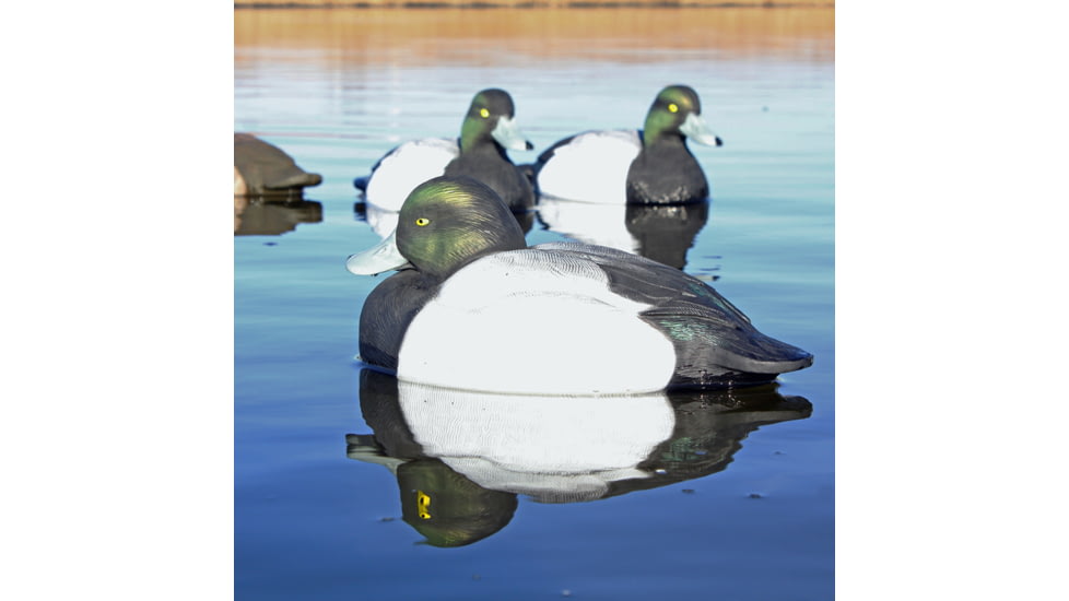 Greenhead Gear Life-Size Duck Decoy,Blue-Bills,1/2 Dozen 73038