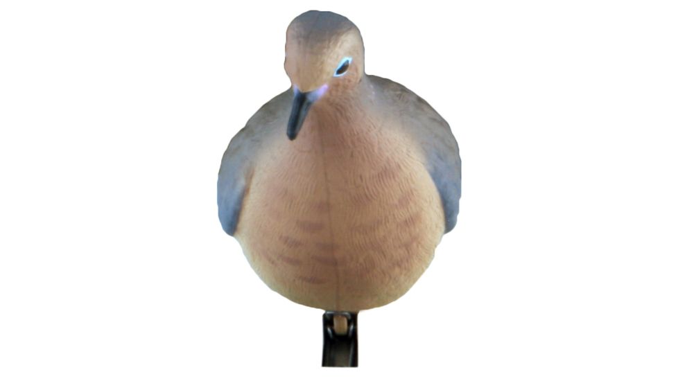 Greenhead Gear Mourning Doves,1/2 Dozen 72005