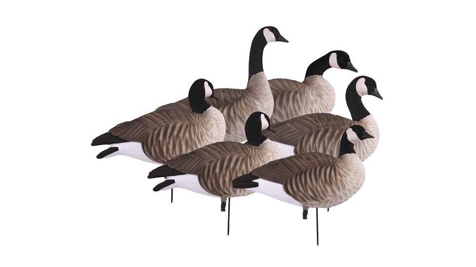 Greenhead Gear Newbold Lesser Canadas Decoy,Active Pack,1/2 dzen 72320