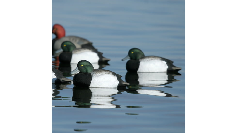 Greenhead Gear Over-Size Duck Decoy,Blue-Bills,1/2 Dozen 73039