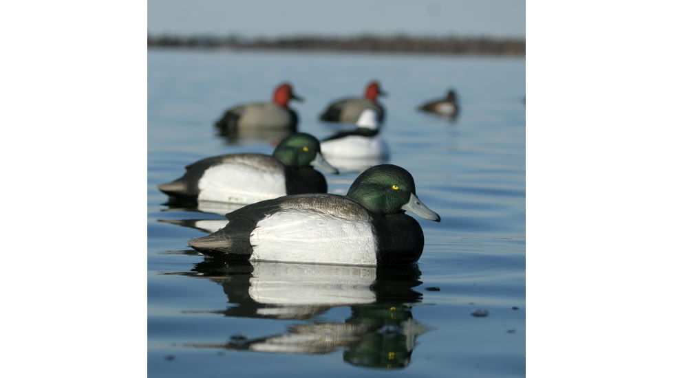Greenhead Gear Over-Size Duck Decoy,Blue-Bills,1/2 Dozen 73039