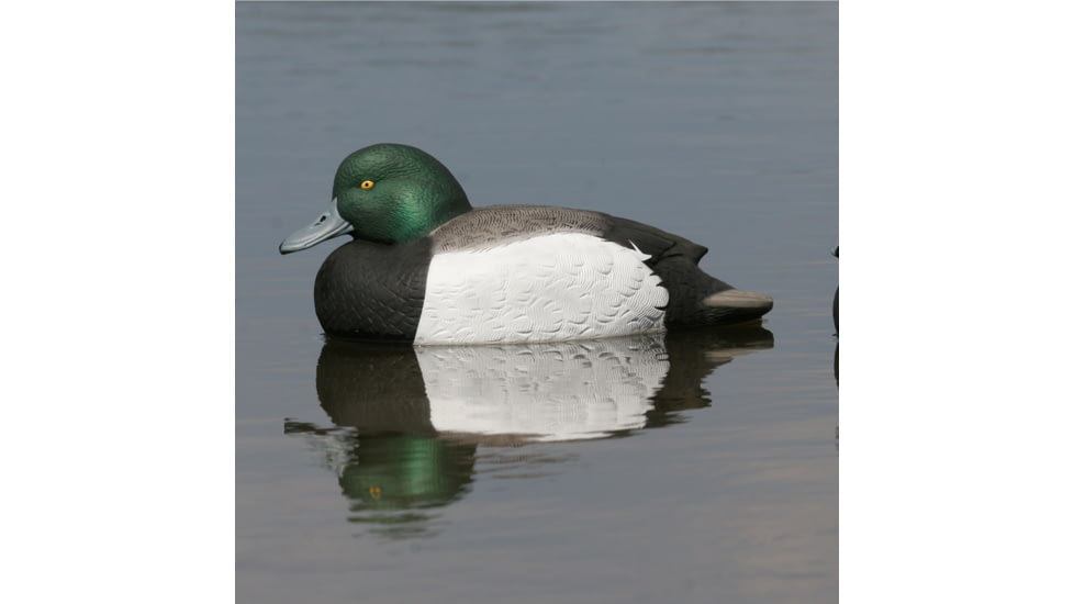 Greenhead Gear Over-Size Duck Decoy,Blue-Bills,1/2 Dozen 73039