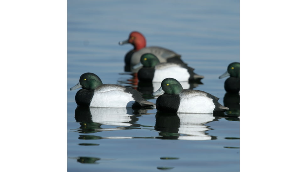 Greenhead Gear Over-Size Duck Decoy,Blue-Bills,1/2 Dozen 73039