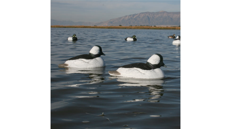 Greenhead Gear Over-Size Duck Decoy,Buffleheads,1/2 Dozen 71048