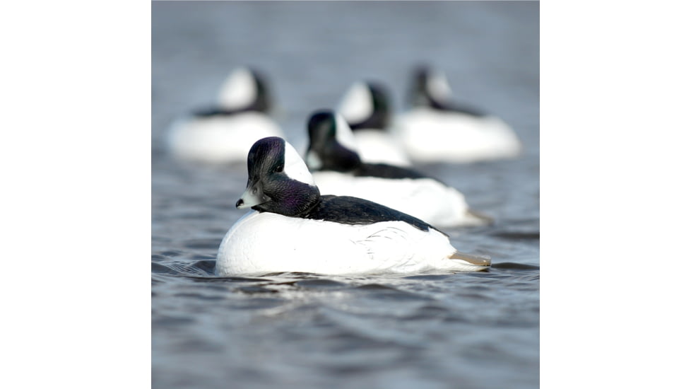 Greenhead Gear Over-Size Duck Decoy,Buffleheads,1/2 Dozen 71048