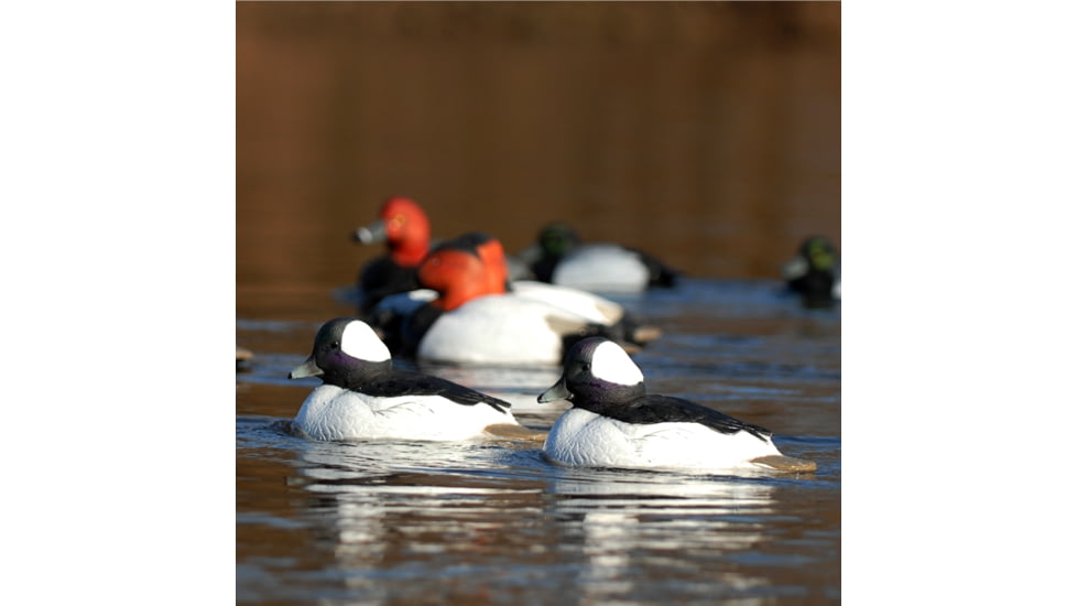 Greenhead Gear Over-Size Duck Decoy,Buffleheads,1/2 Dozen 71048