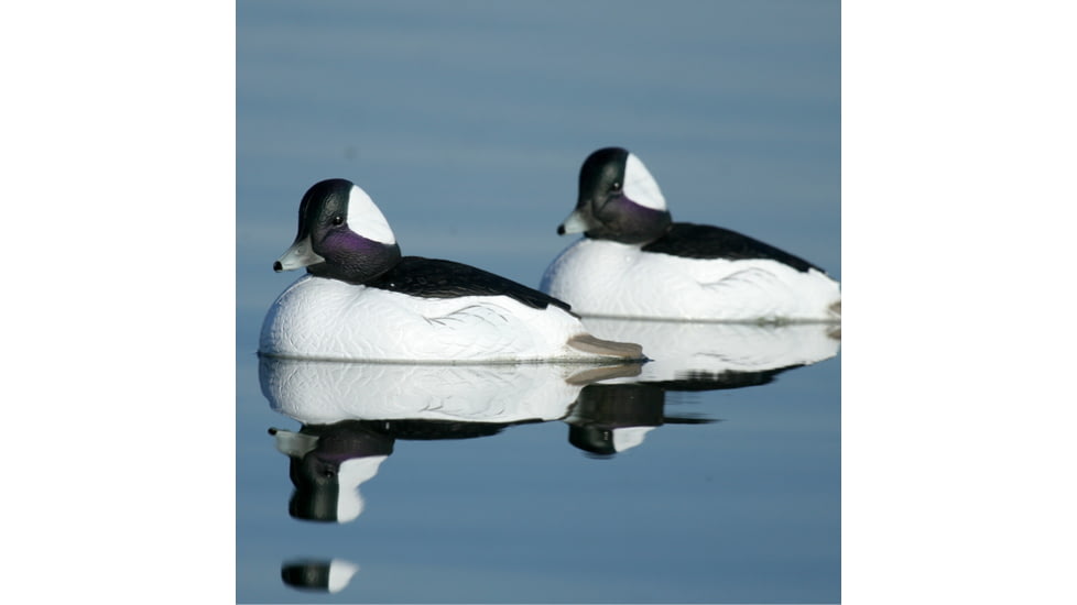 Greenhead Gear Over-Size Duck Decoy,Buffleheads,1/2 Dozen 71048