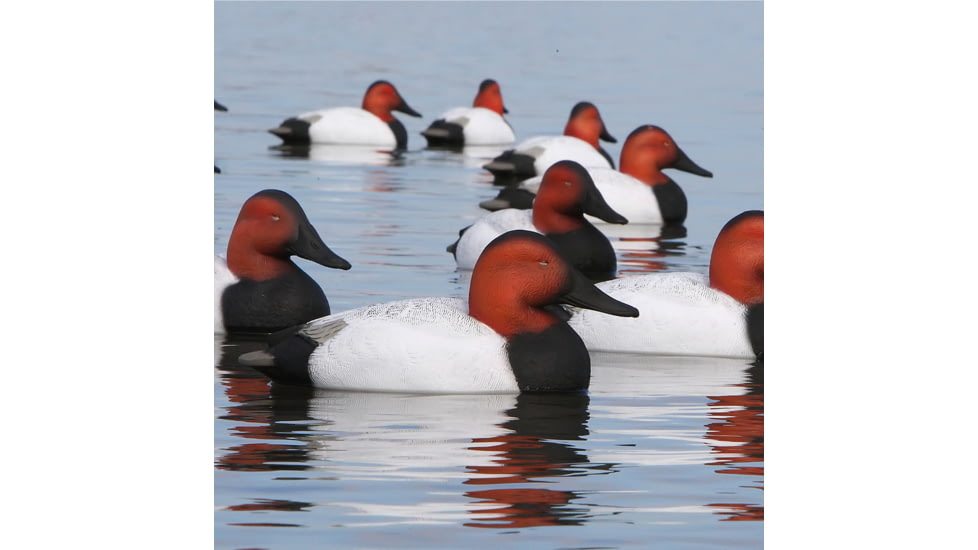 Greenhead Gear Over-Size Duck Decoy,Canvasbacks,1/2 Dozen 73049