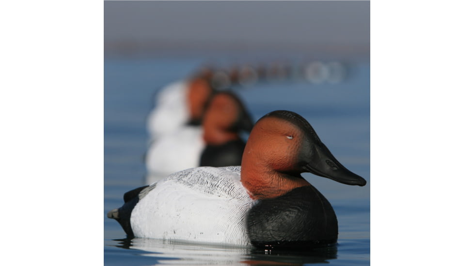 Greenhead Gear Over-Size Duck Decoy,Canvasbacks,1/2 Dozen 73049