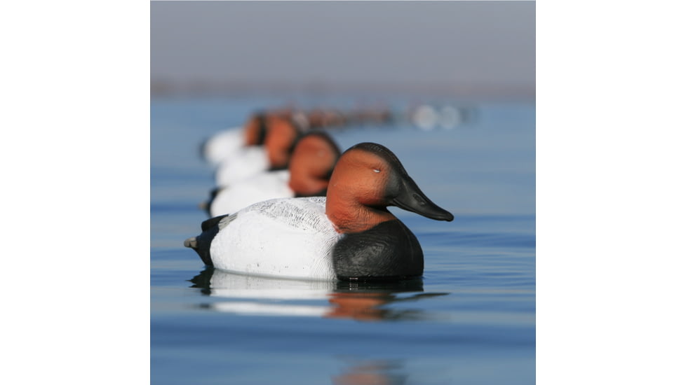 Greenhead Gear Over-Size Duck Decoy,Canvasbacks,1/2 Dozen 73049