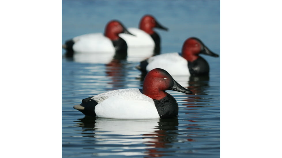 Greenhead Gear Over-Size Duck Decoy,Canvasbacks,1/2 Dozen 73049