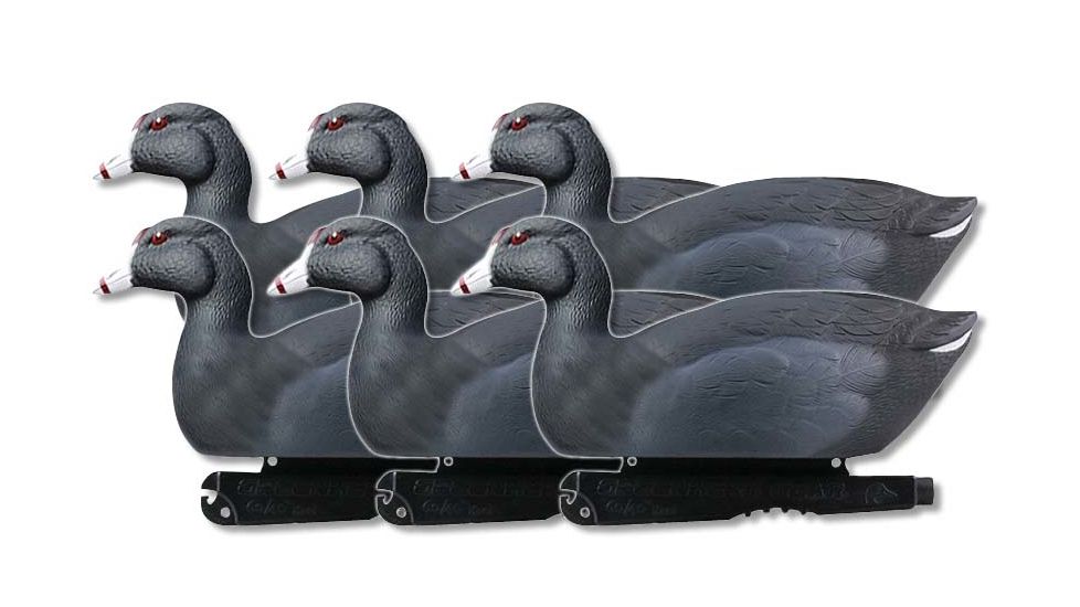 Greenhead Gear Over-Size Duck Decoy,Coots,1/2 Dozen 73014