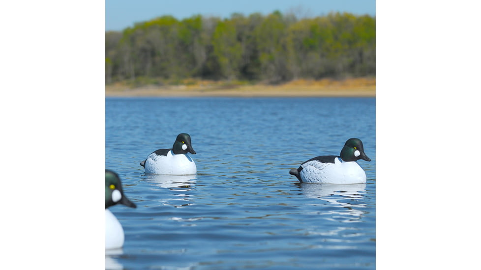 Greenhead Gear Over-Size Duck Decoy,Goldeneyes,1/2 Dozen 73047