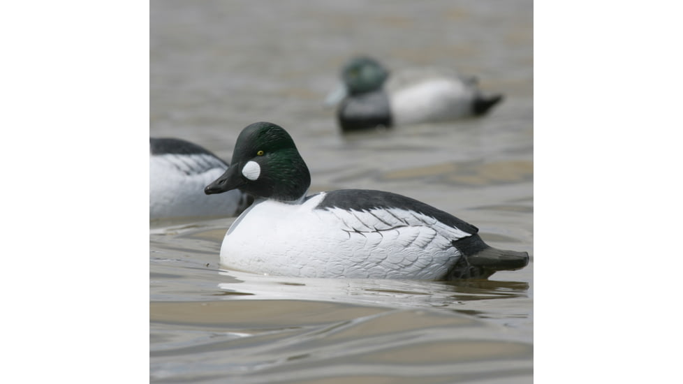 Greenhead Gear Over-Size Duck Decoy,Goldeneyes,1/2 Dozen 73047