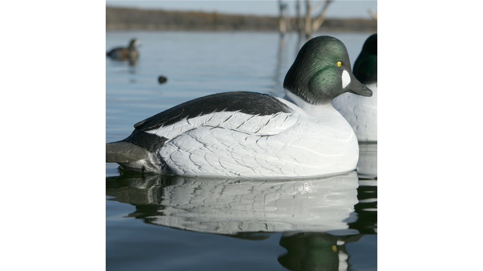 Greenhead Gear Over-Size Duck Decoy,Goldeneyes,1/2 Dozen 73047