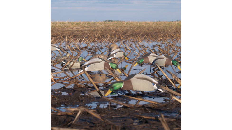 Greenhead Gear Over-Size Duck Decoy,Mallard Shells/Active Pack,Dozen 70166