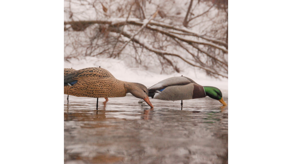 Greenhead Gear Over-Size Duck Decoy,Mallard Shells/Active Pack,Dozen 70166